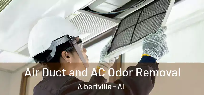  Air Duct and AC Odor Removal Albertville - AL