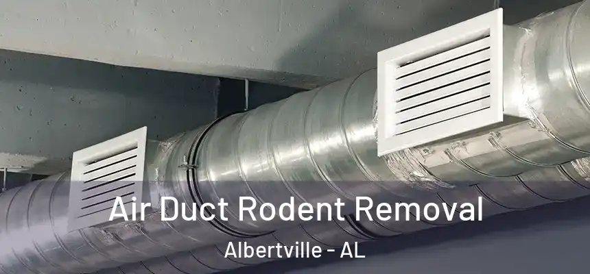  Air Duct Rodent Removal Albertville - AL