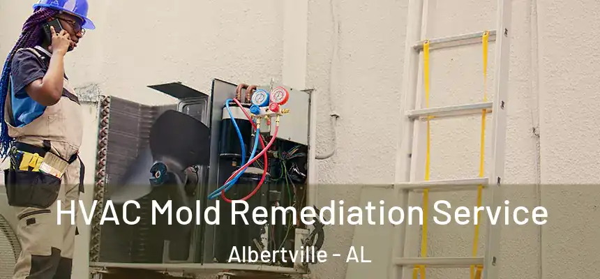  HVAC Mold Remediation Service Albertville - AL