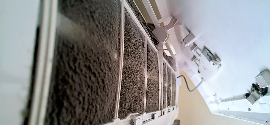 Preventive Air Duct Bacteria Removal in Albertville