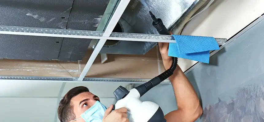 Our Air Duct Rodent Removal Services in Albertville, AL