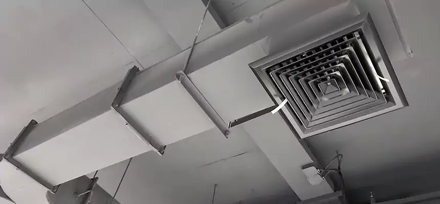 Restorative Allergy Relief Vent Cleaning – Coil, Blower & Housing Detail in Albertville