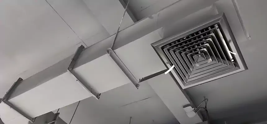 Our Pest Removal From Ducts Services in Albertville, AL