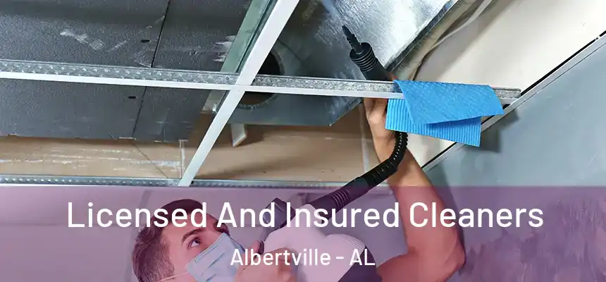  Licensed And Insured Cleaners Albertville - AL