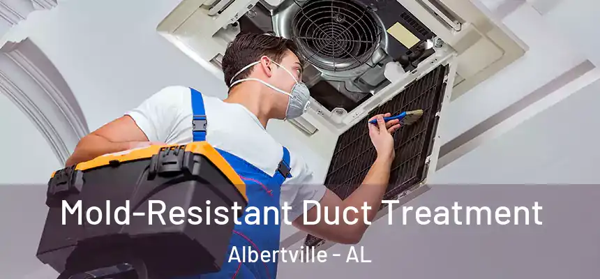  Mold-Resistant Duct Treatment Albertville - AL