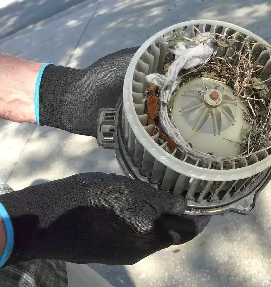 About Air Duct Mice Removal in Albertville, AL