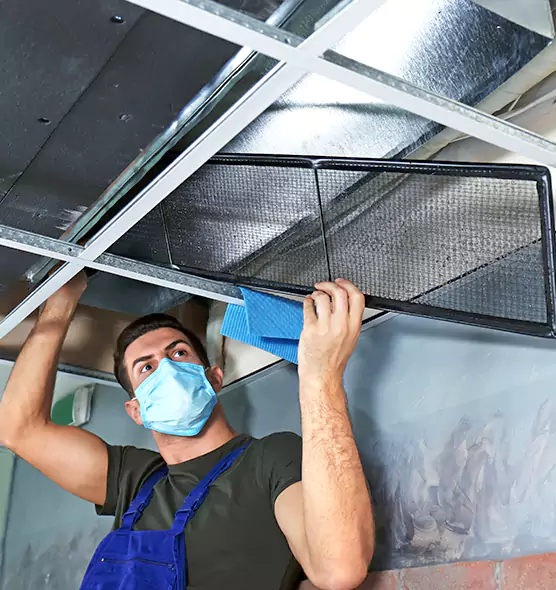 Professional Air Duct Pollen Cleaning in Albertville, AL