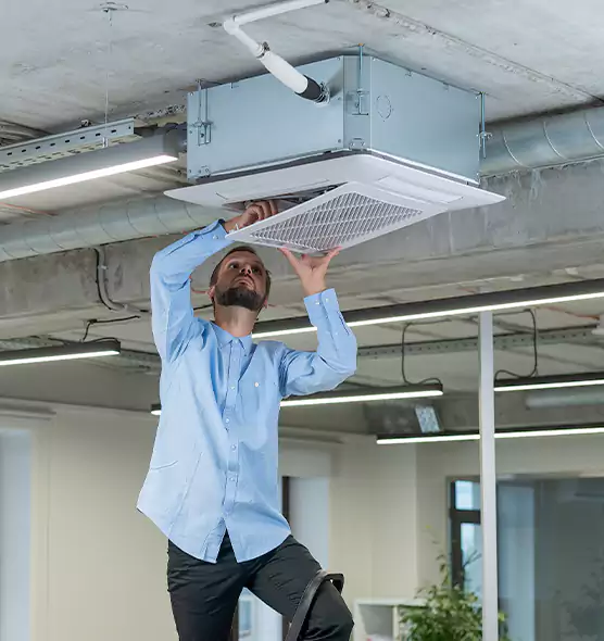 Advanced Rodent Droppings In Vents in Albertville, AL