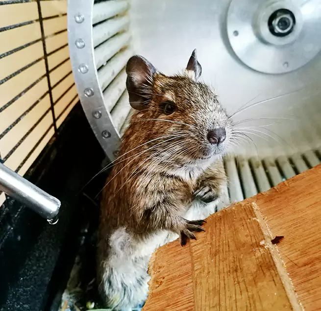 Why Homeowners & Businesses Trust Us Albertville, AL